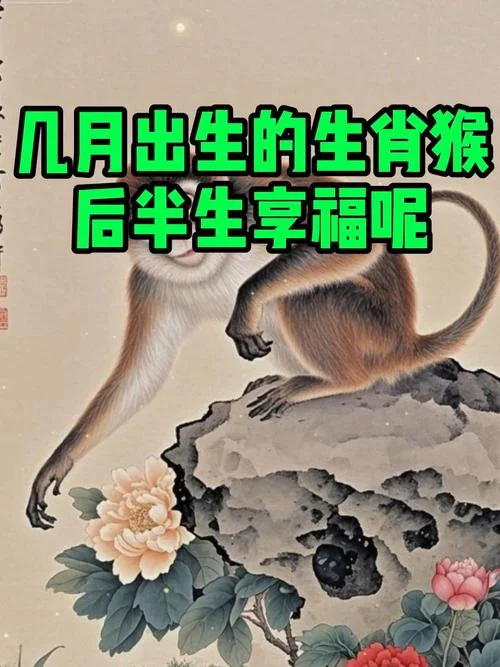 猴忌讳什么属相_2