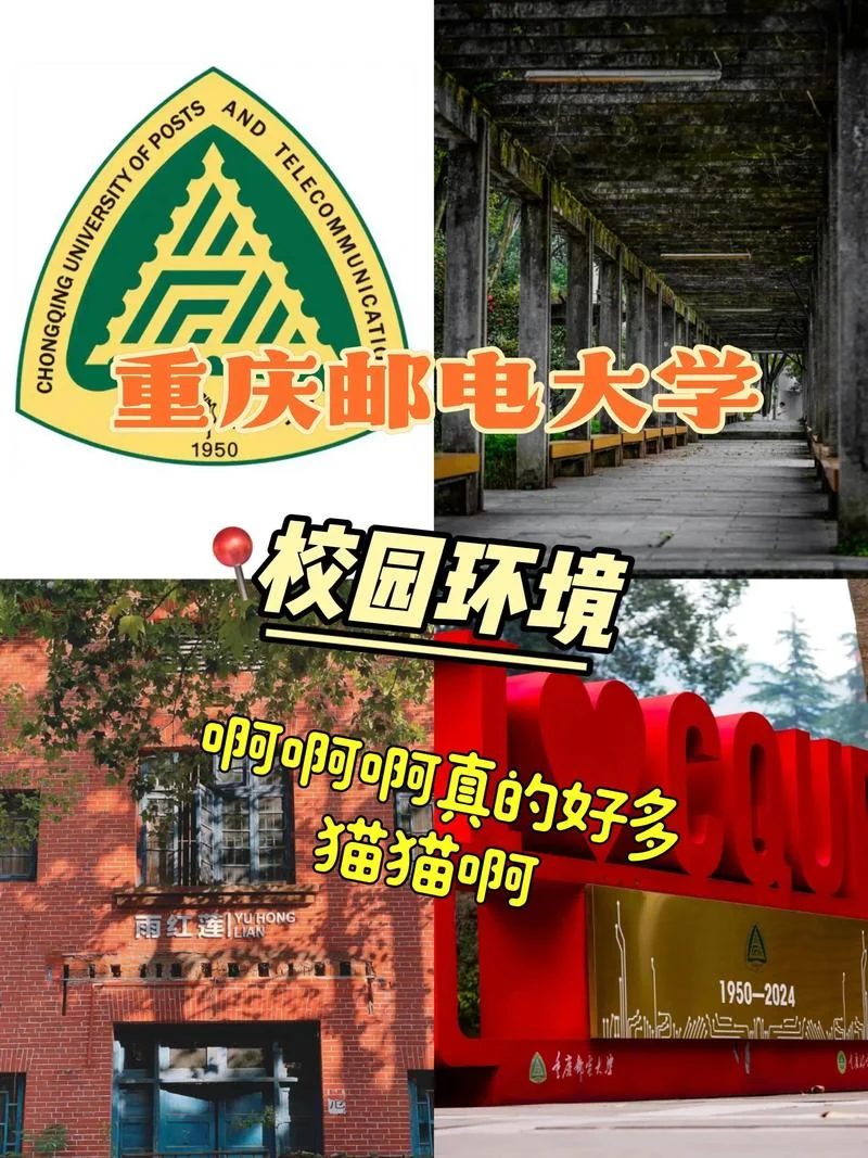 重庆邮电大学是几本_1