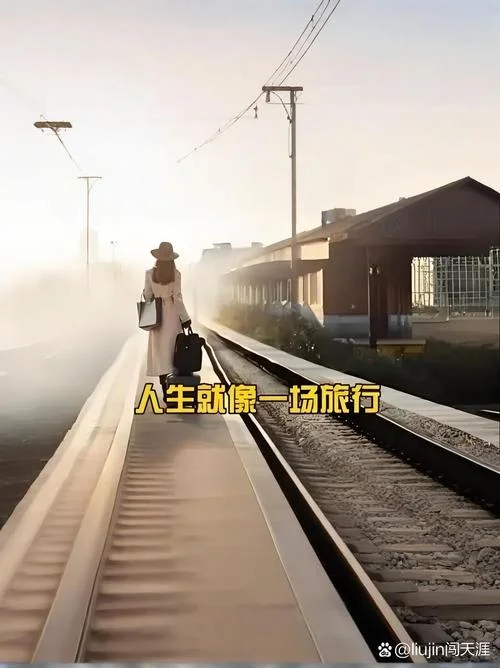 梦见自己过桥过去了_2