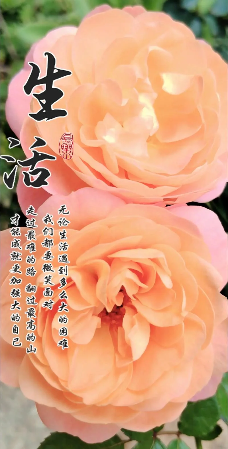 人生感悟的图片_2