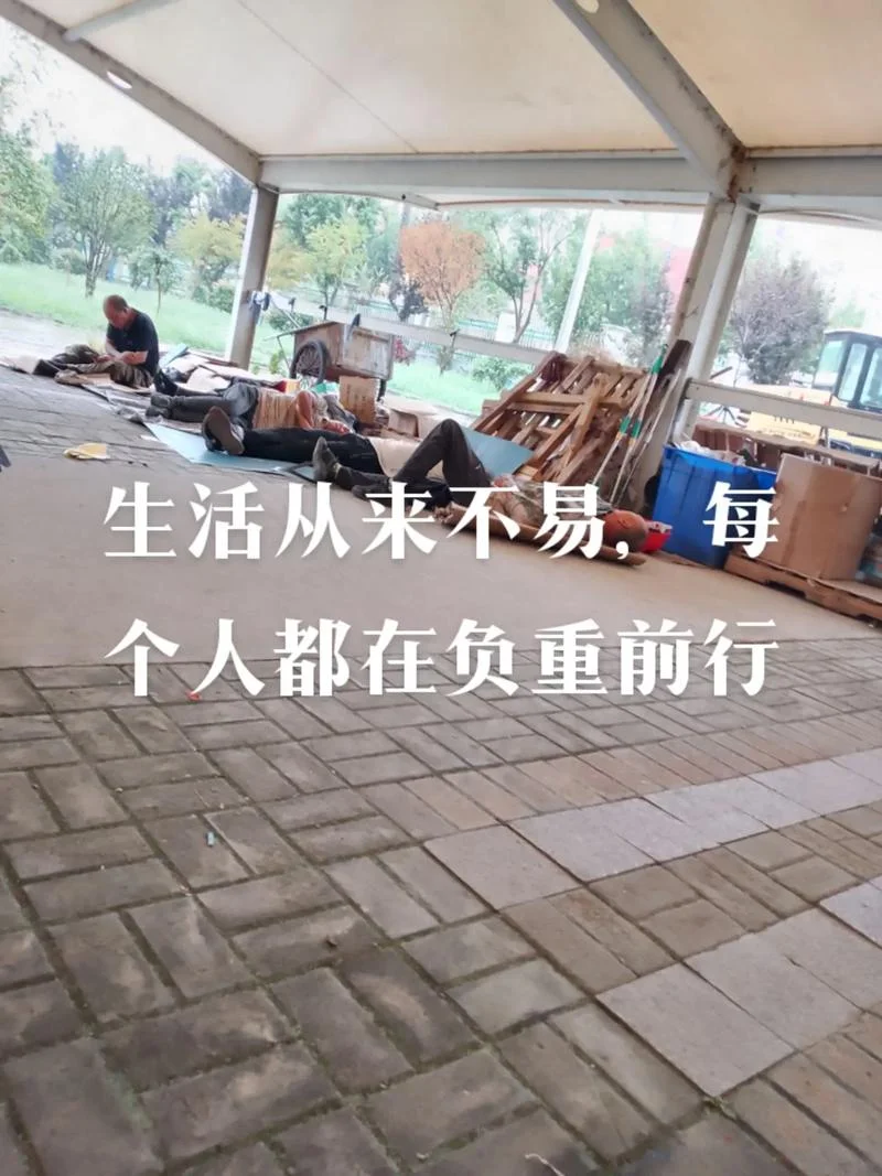 生活不易下一句是什么_1