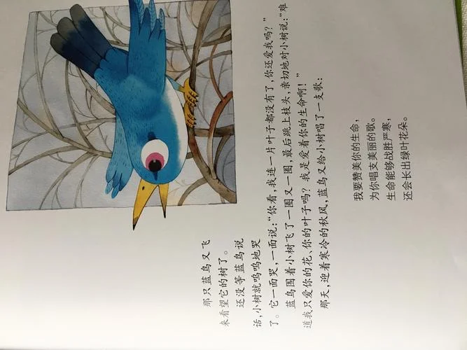 父亲和一棵树读后感_2