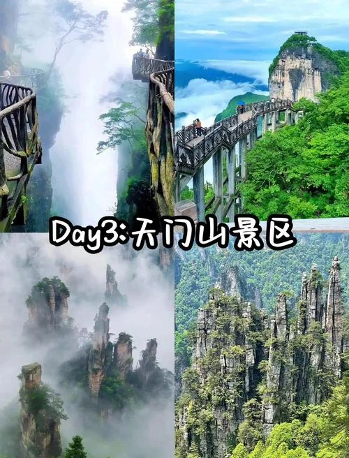 上海张家界五日游_1