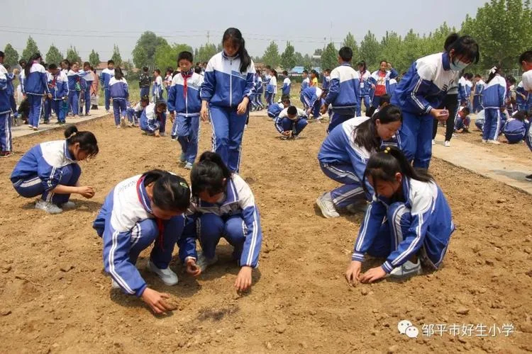 邹平县好生中学招聘_2