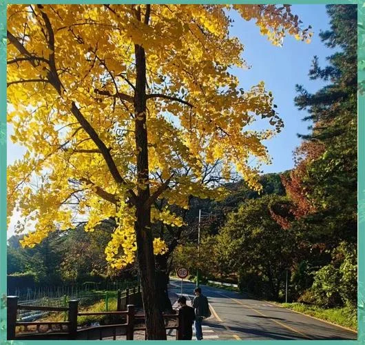 韩国白石大学与又石大学哪个好-韩白又石大学对比