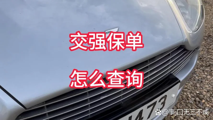 如何查车保险公司_1