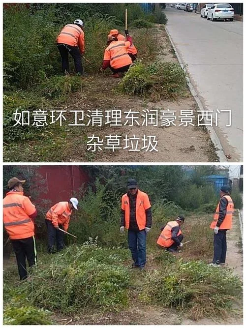 如意志愿app是哪家公司_1