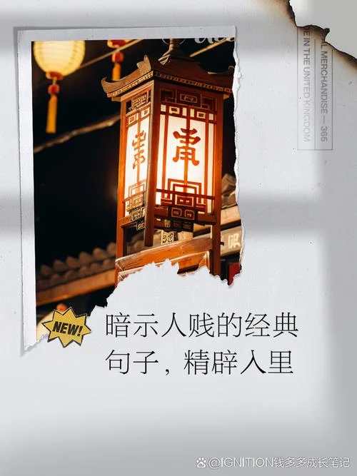 贱人就是矫情出自哪里_2