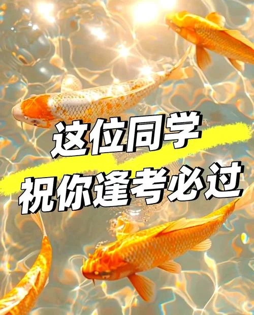 梦见考试过了能过吗_2