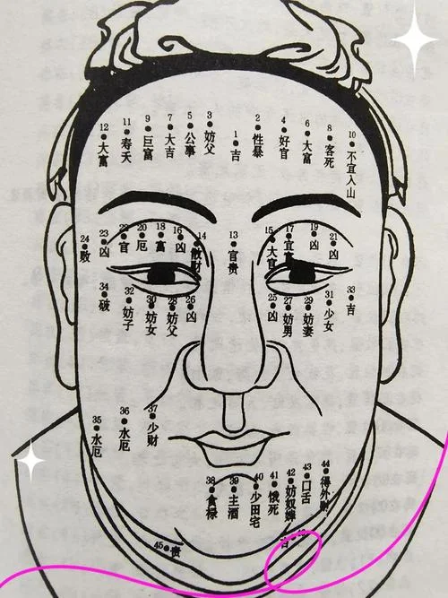 面相学测试_2