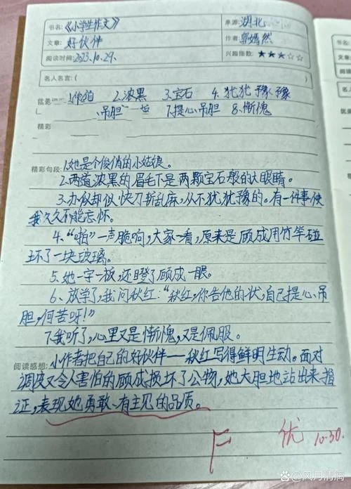 三年级的读书笔记格式-三年级读书笔记格式
