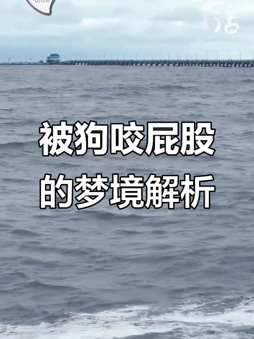 女人梦见狗一直追着咬_1