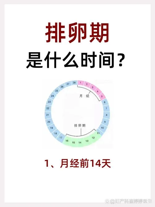 如何查排卵期_1