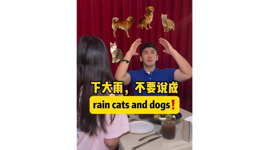rain cats and dogs出处_1
