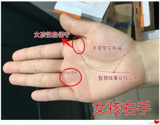 女人手胖的手相_2