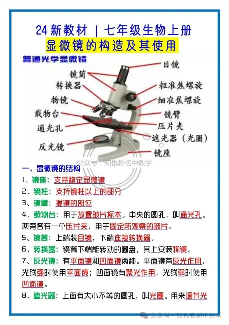 镜子的工作原理_2