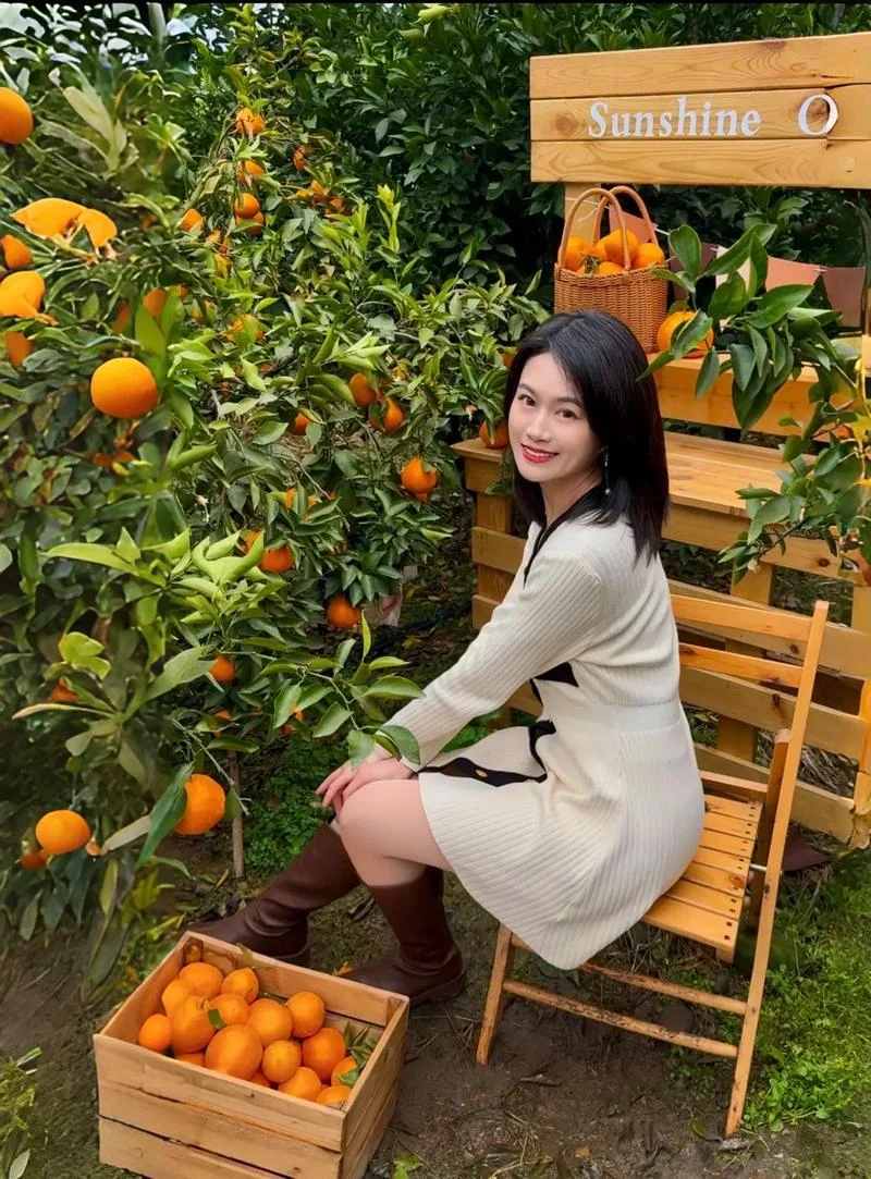 梦见摘橘子吃_2