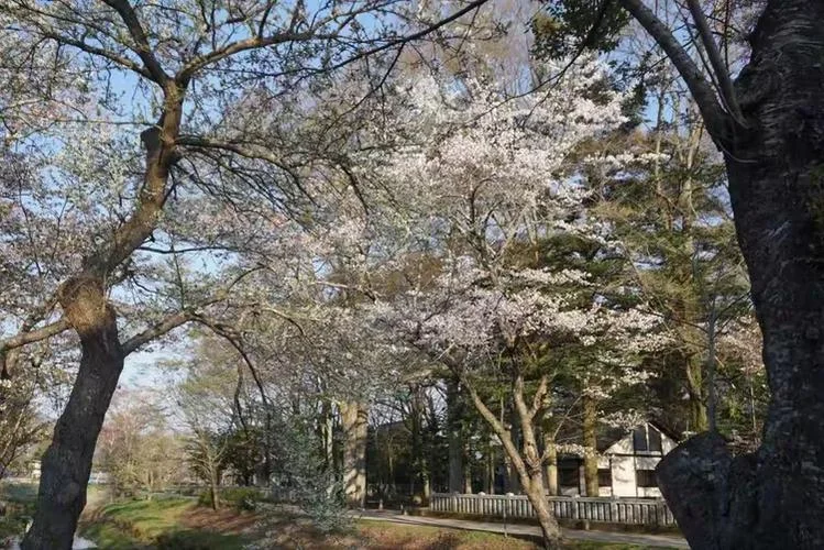 东京到北海道多少公里_1