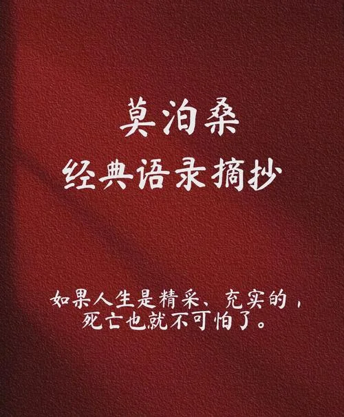 朗读者经典语录和感悟_2