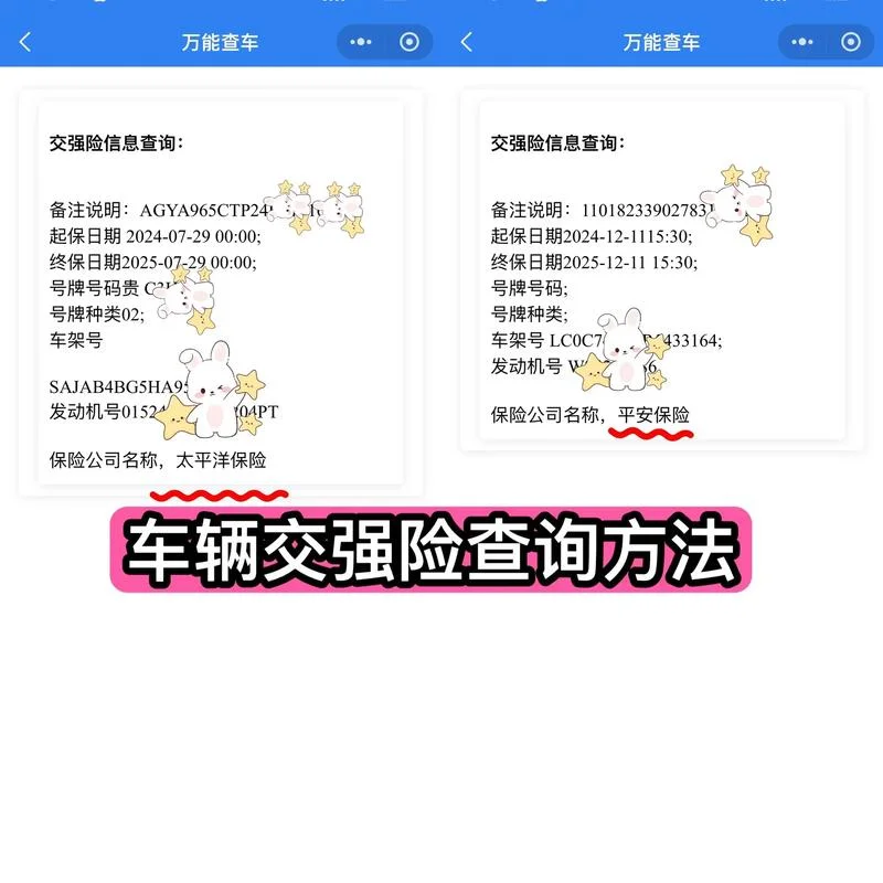 如何查人保的车险保单_2