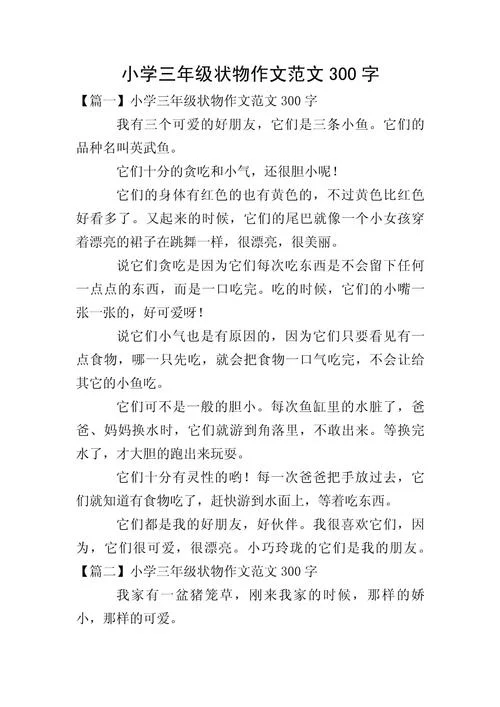 写物的作文300字素材_2
