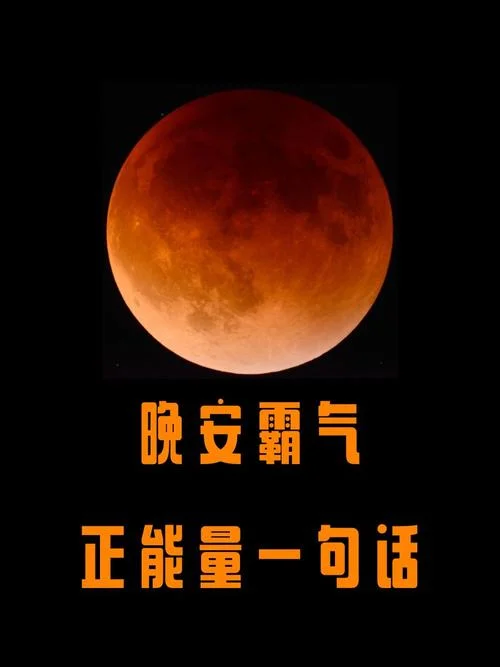 愿你拥有星辰大海的下一句_1
