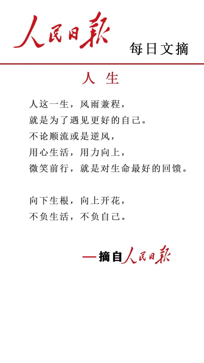 写生活感悟的公众号_2