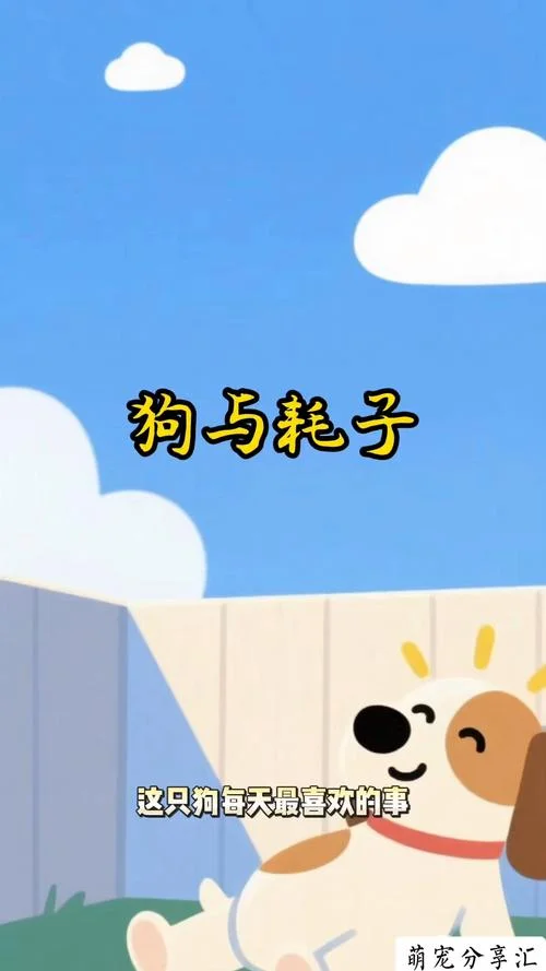 狗拿耗子图片出自哪里_2