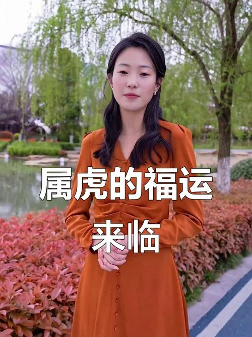 属虎人今日运势_1