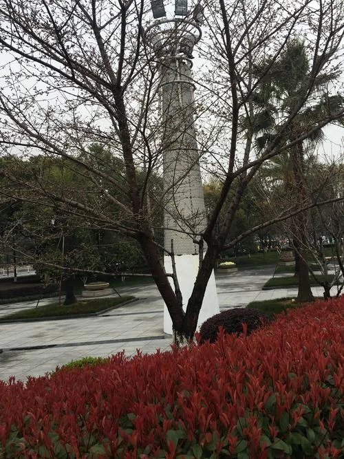 义乌市历史天气查询_2