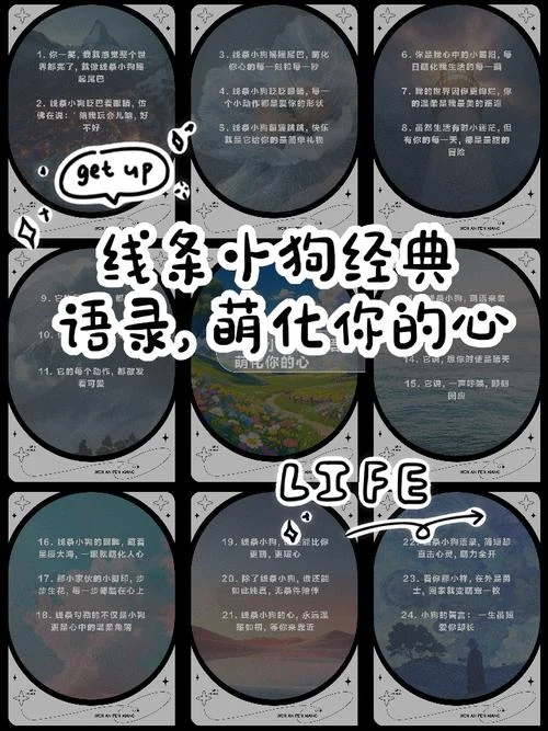 文案狗狗可爱_1