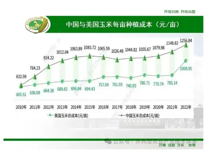 种植玉米一亩利润多少_2