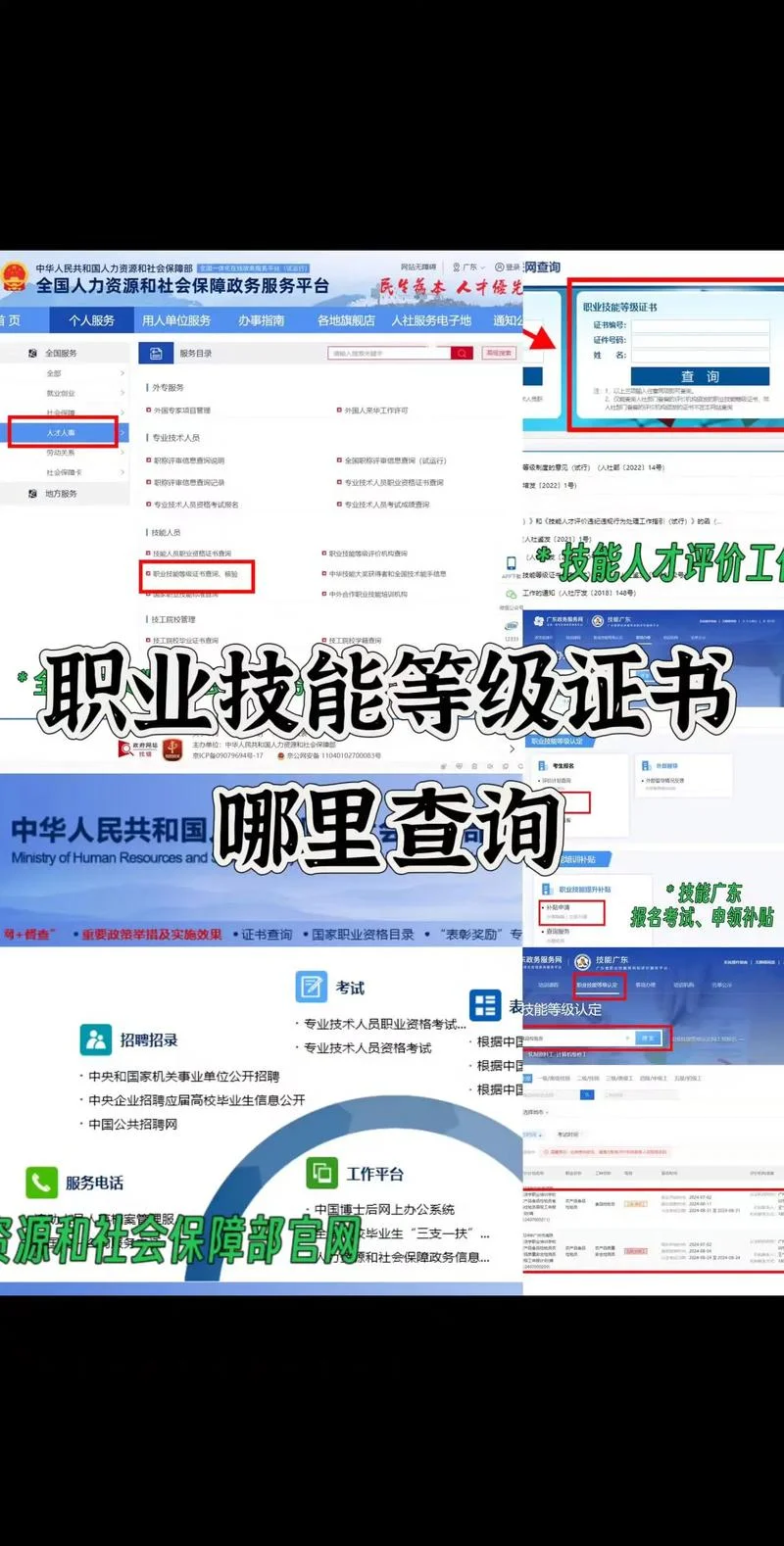 国家资格网证书查询-国家资格网查询