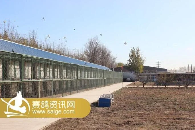 春辉公棚老板叫什么_2