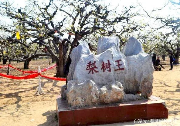 砀山到济南多少公里_2