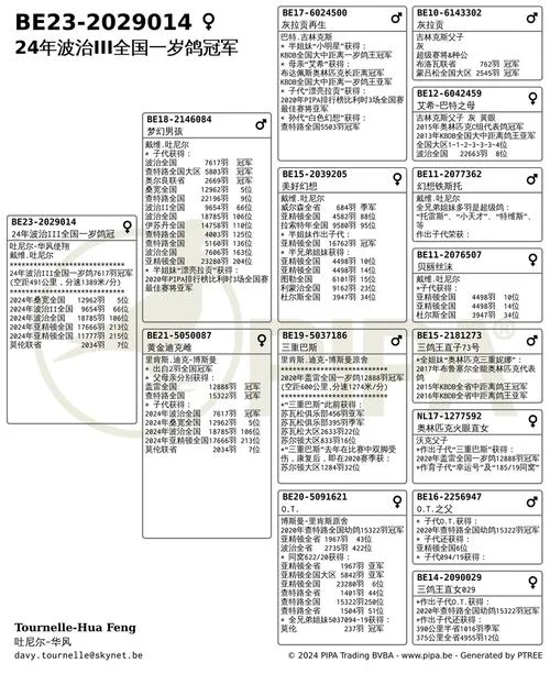 足环号查询信鸽成绩_2