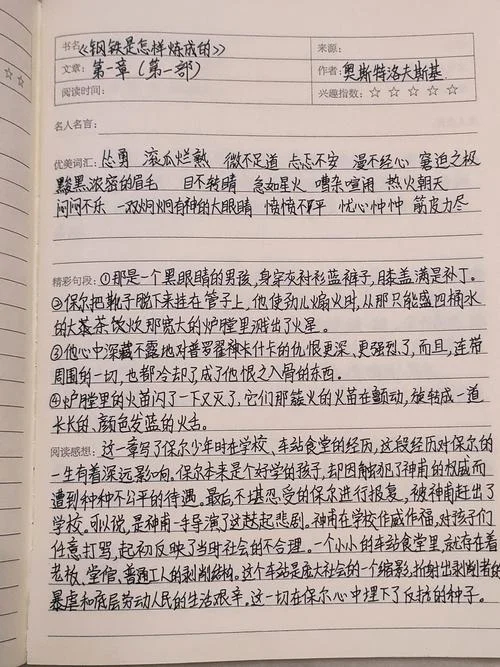 钢铁是怎样炼成的第3章读后感悟_1