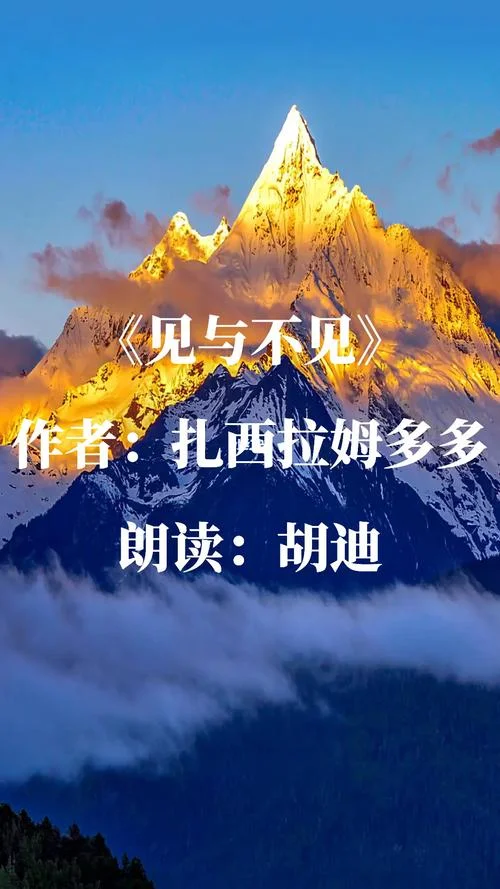 《见与不见》作者是谁_1