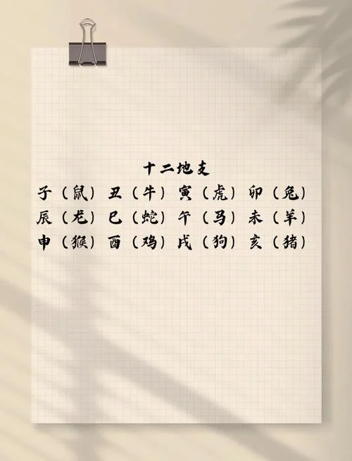 与本命年的属相相冲怎么化解_1