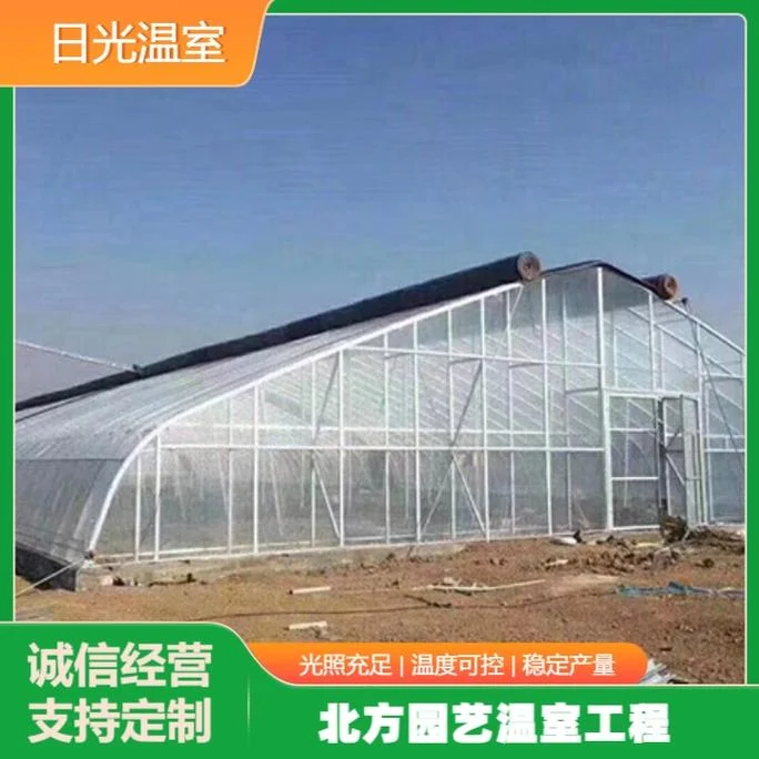 建一亩地的大棚要多少费用_2