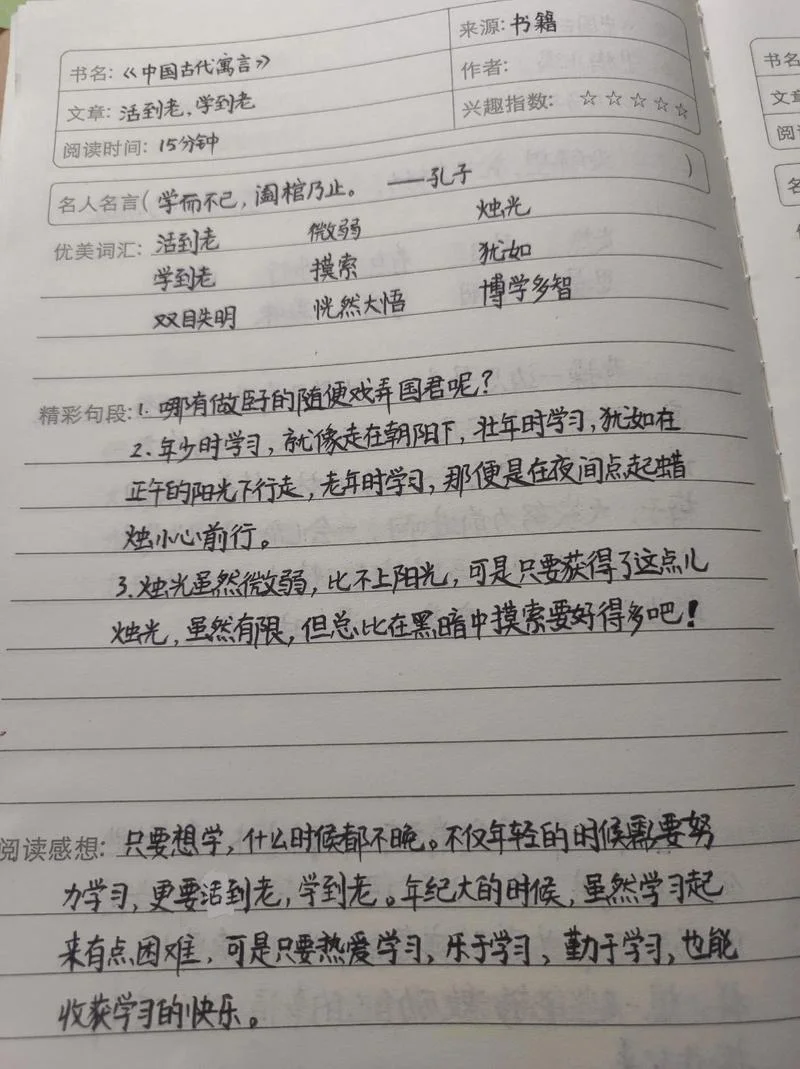 读书笔记摘抄及感悟_2