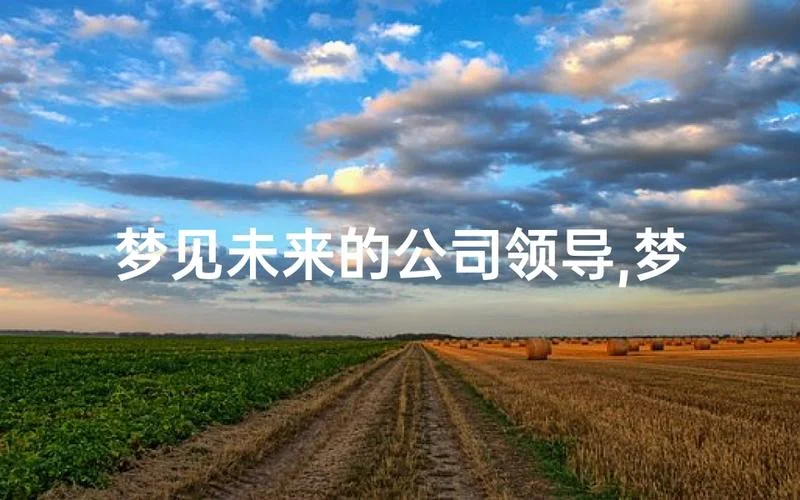 梦见单位领导叫自己_2
