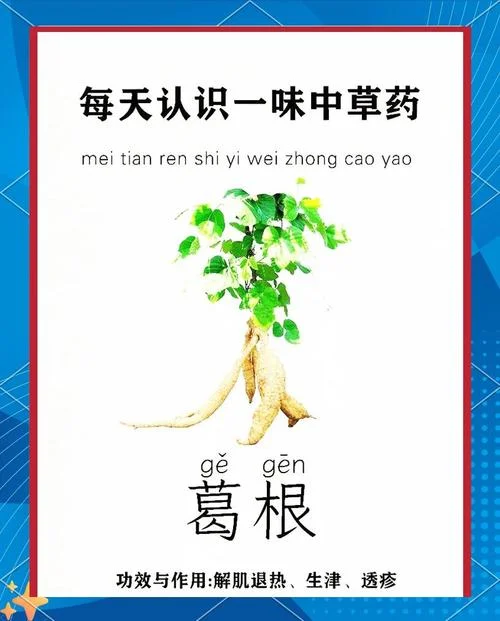 葛之覃出自什么_2
