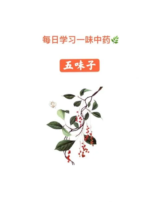 五味入口出自哪部经典_2