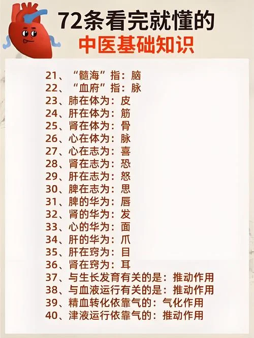什么是中医?_2