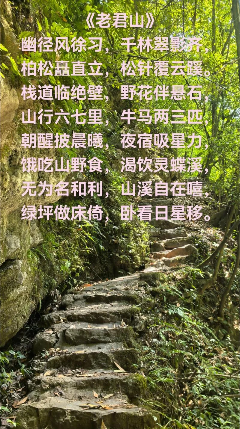 曲径通幽处下一句-幽处曲径寻幽