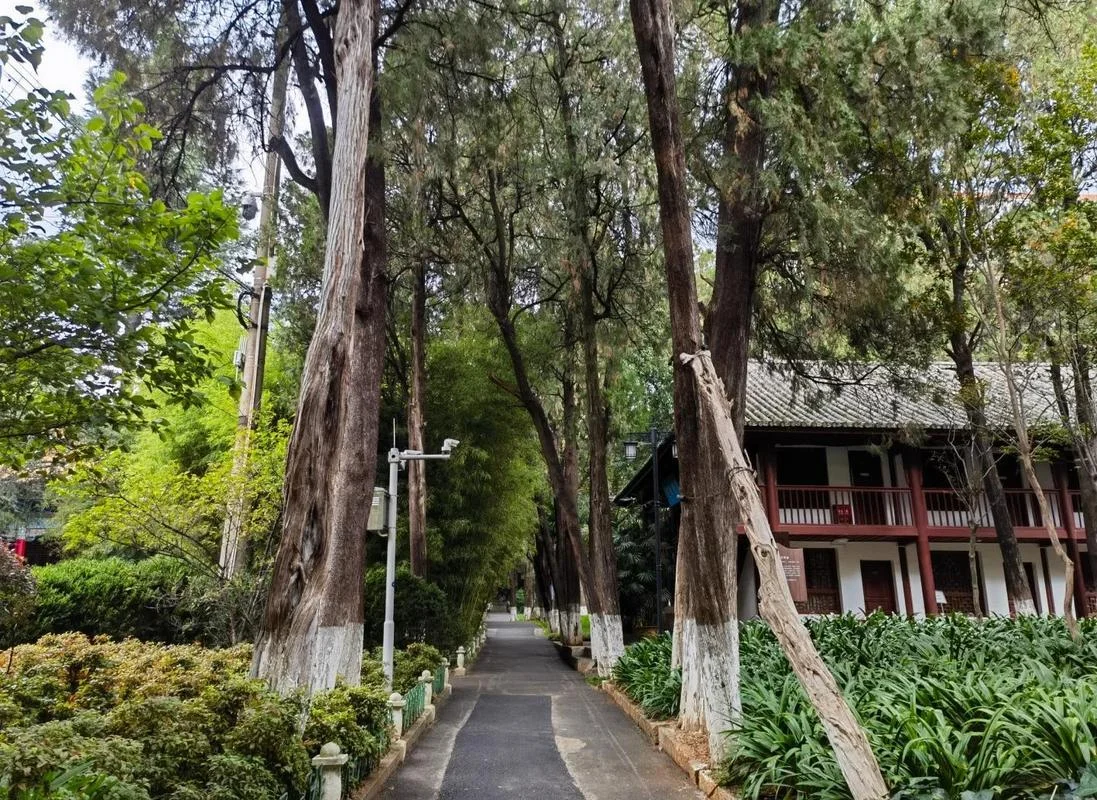 云南大学多少亩_1