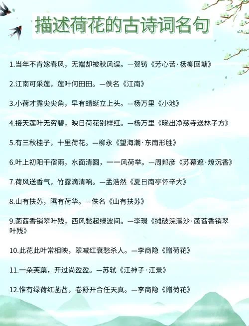 六月荷花满池塘下一句_1