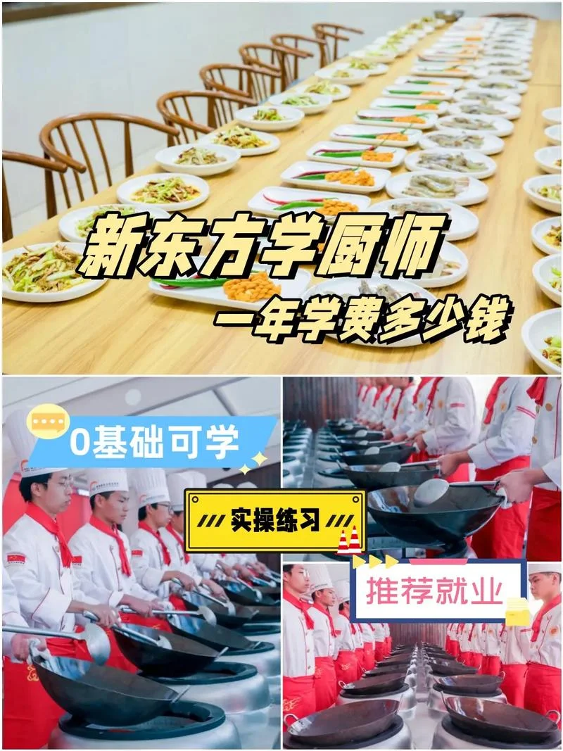 上海厨师去哪学-上海学厨师去哪