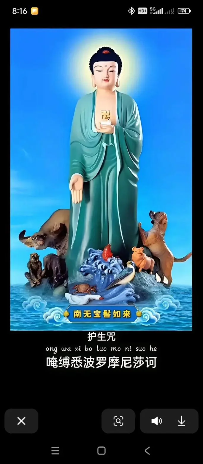 宝髻如来护生咒出自_1